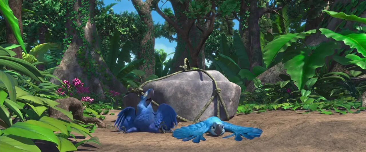 рио 2011 blu ray. рио голубчик и жемчужинка. Rio video. попугаи мультфильма рио. тьяго рио 2.