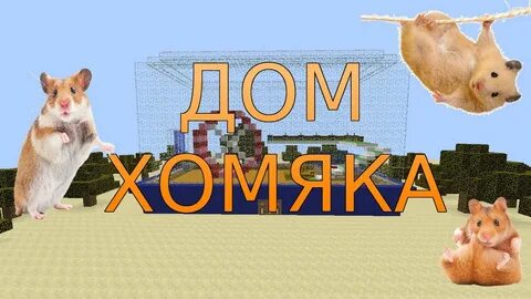 Зачем нужны скины в хомяке