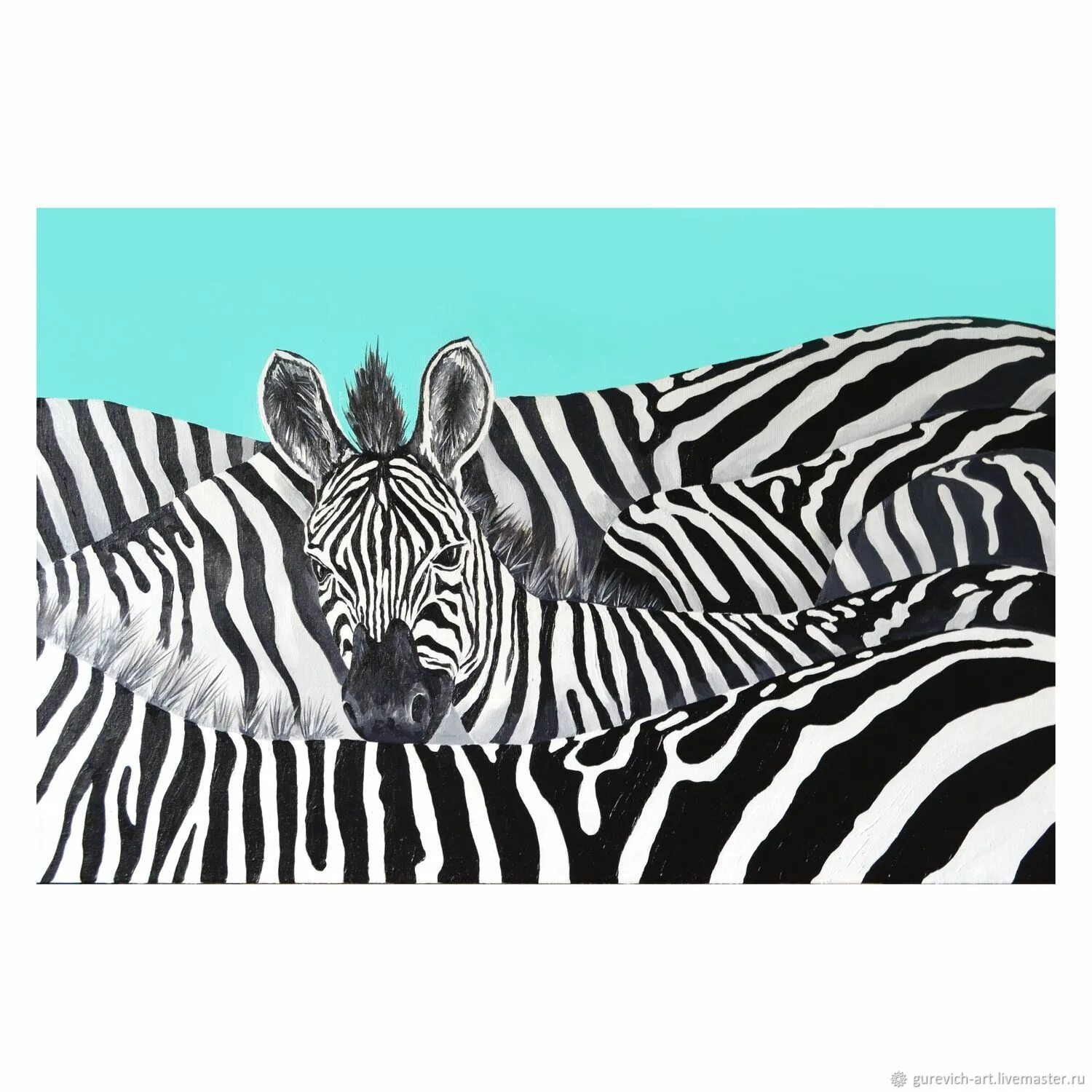 Zebra работа