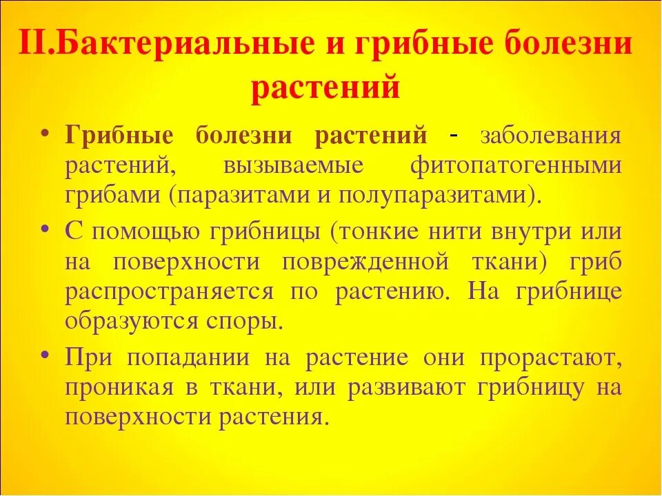 Соберите информацию о грибковых заболеваниях. Бактериальные и грибные болезни. Что такое грибковые и бактериальные заболевания у растений. Болезни растений вызываемые бактериями. Бактериальные и грибные болезни растений.