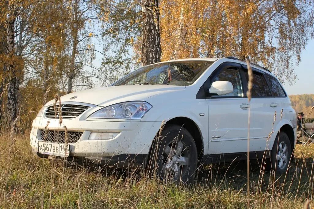 Кайрон нижний новгород. Санг Йонг Кайрон 2012. Санг енг Кайрон белый. Саньенг Кайрон золотистый. ССАНГЙОНГ Кайрон золотистый цвет.