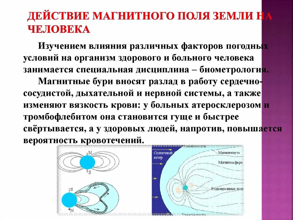 Действие магнитного поля на живые организмы. Влияние магнитного поля земли на организм человека. Магнитное птлечеловека. Магнитное поле земли и человек. Влияние электромагнитного поля земли на человека.