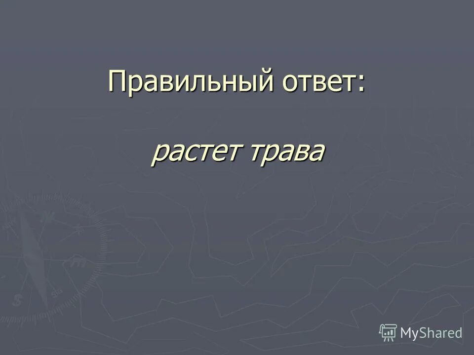 Ответ вырос