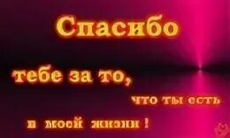 Ты мне очень нравишься стихи. Я каждый день тобою восхищаюсь. Я каждый день тобою восхищаюсь. Восхищаюсь. Красивые слова восхищения.