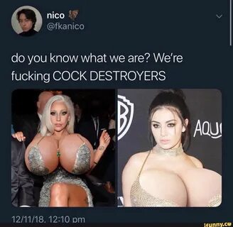 Cock destroyers meme