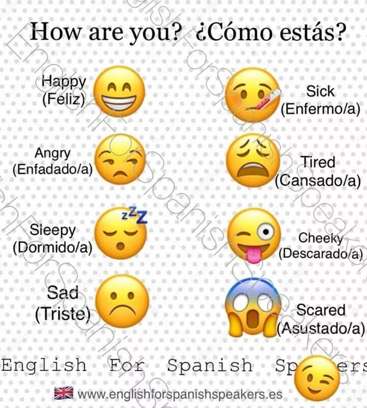 Португальский язык. Легкий диалог на испанском. Basic spanish phrases. Esta как выглядит. Как ответить на вопрос como estas.