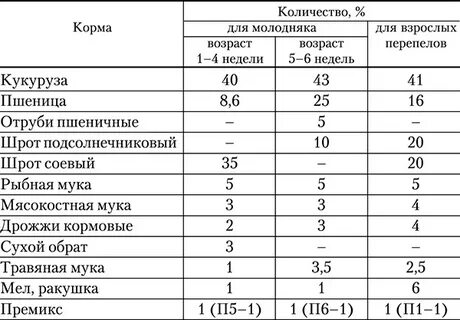 Сколько комбикорма давать