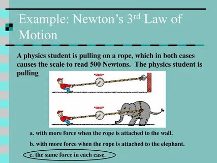 Newton 3
