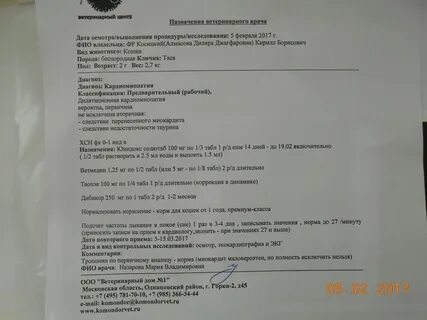 Какие анализы сдать перед урологом