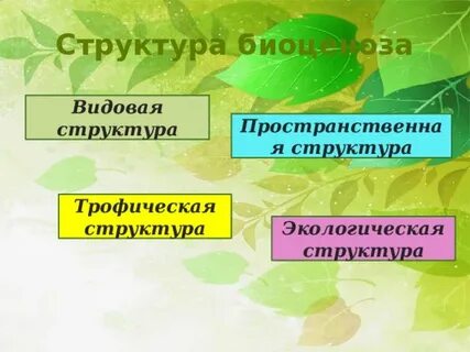Структурная биология это