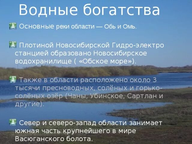 Водные богатства нашего края сообщение 4 класс. Водные объекты новосибирской области 4. водные богатства. водные богатства новосибирска. рассказ о водных богаств.