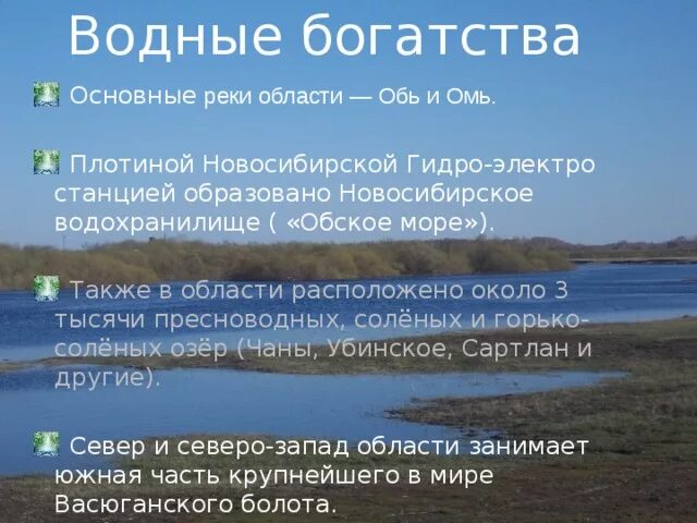 Чем известен регион новосибирской области. Водные богатства. Водные объекты Новосибирской области. Водные богатства Новосибирска. Рассказ о водных богатствах.