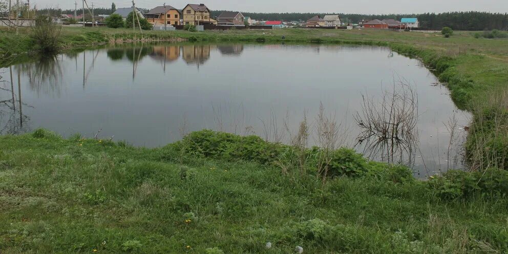 Никольское вода. Микрорайон Никольское Воронеж. Никольское озеро Воронеж. Никольский микрорайон Воронеж. Никольское озеро Ленинградская область.