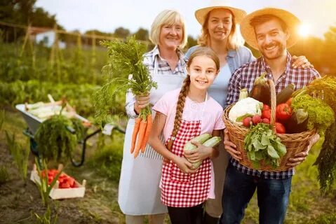 Vegetables in our family
