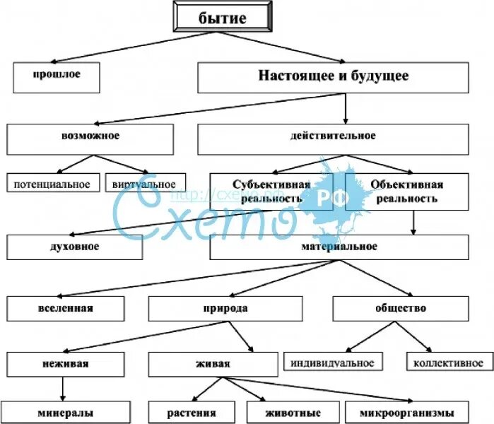 Структурно-логическую схему «основные виды бытия».. Виды бытия схема. Схемы основных понятий в философия. Бытие схема в философии. Схема бытия