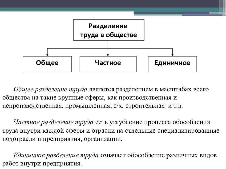 Значение разделения труда в экономике. Общее частное и единичное разделение труда. общее частное и единичное разделение труда примеры. общественное разделение труда схема. формы разделения труда общее частное единичное.