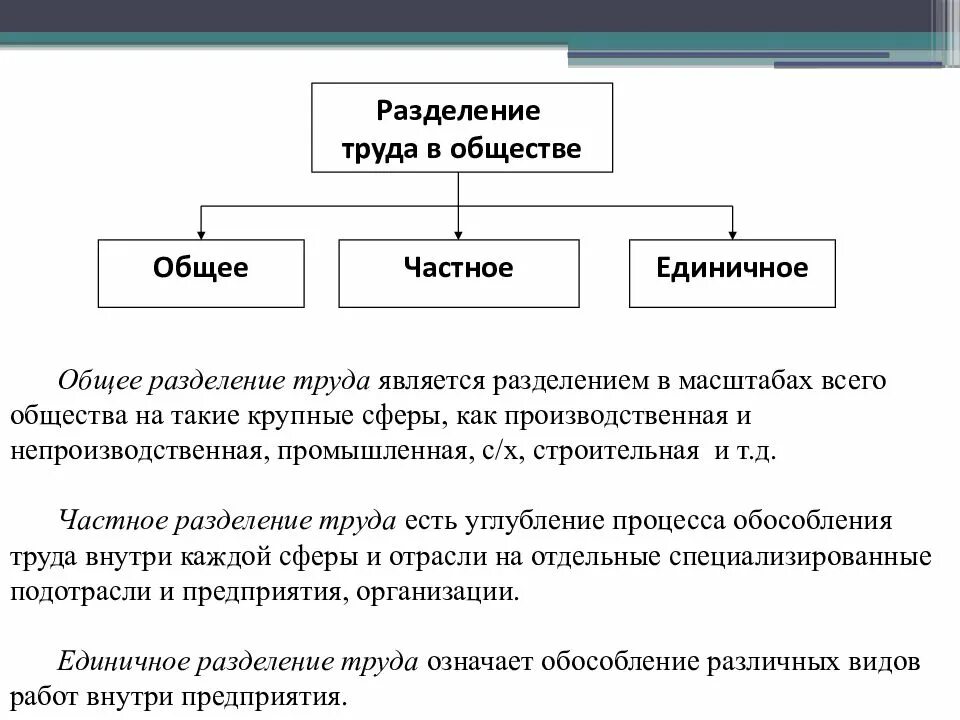 Какова разделения труда в развитии производства. Общее частное и единичное Разделение труда. Общее частное и единичное Разделение труда примеры. Общественное Разделение труда схема. Формы разделения труда общее частное единичное.