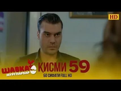 Шавкат кисми