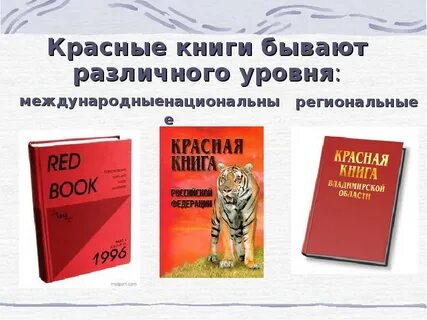 Владимирская красная книга