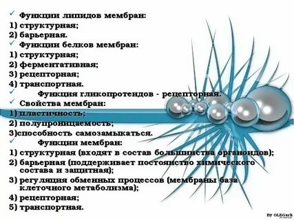 Характеристика липидов мембран