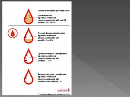 Гемофилия по утвержденным клиническим рекомендациям тест нмо