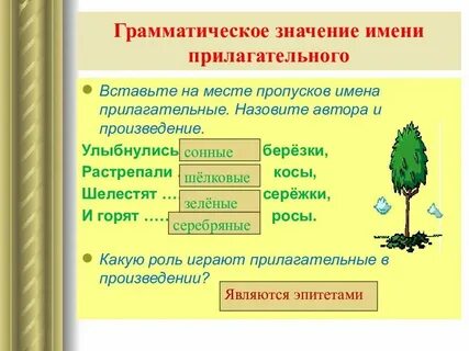 Общее прилагательное к словам