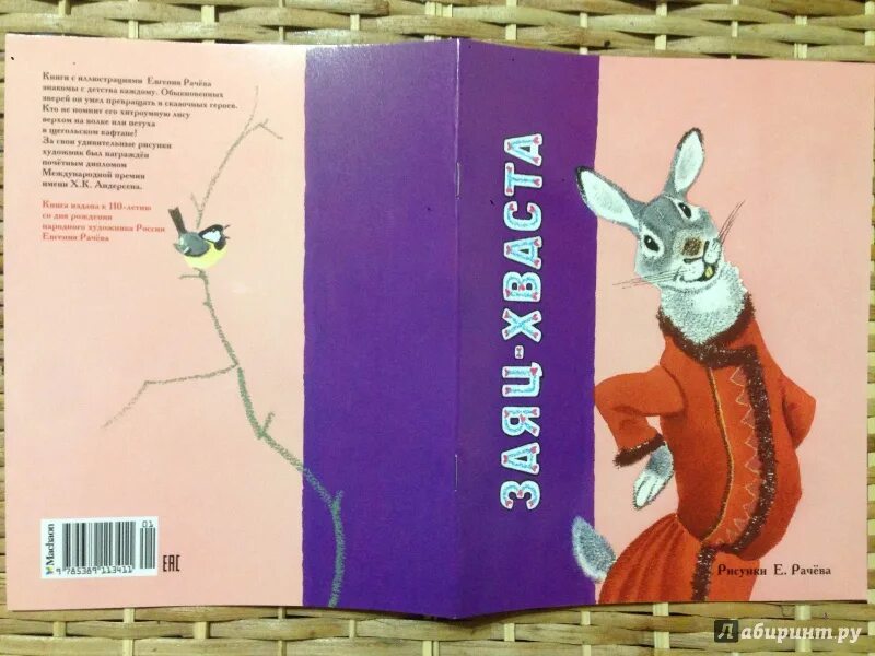 Книга про зайца. Заяц из книг. Заяц с книгой. Заяц книжная иллюстрация. Книга про зайца иллюстрация.
