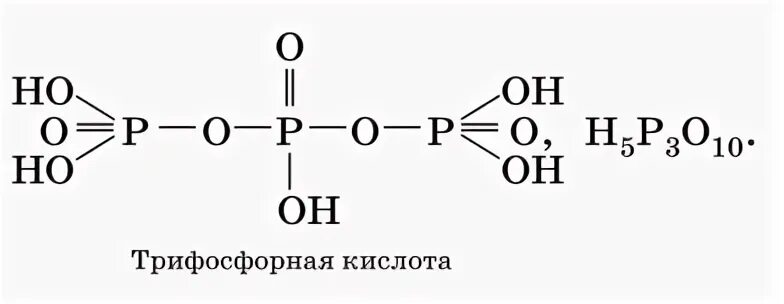 Полифосфорная кислота формула. Полифосфорная кислота строение. Структурная формула трифосфорной кислоты. Структурная формула фосфорной кислоты. Структурные формулы кислот фосфора