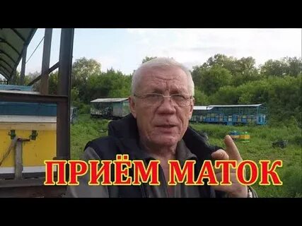 Прием маток