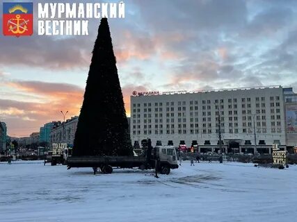 Елка в мурманске