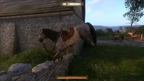 Сокровища под голубятней kingdom
