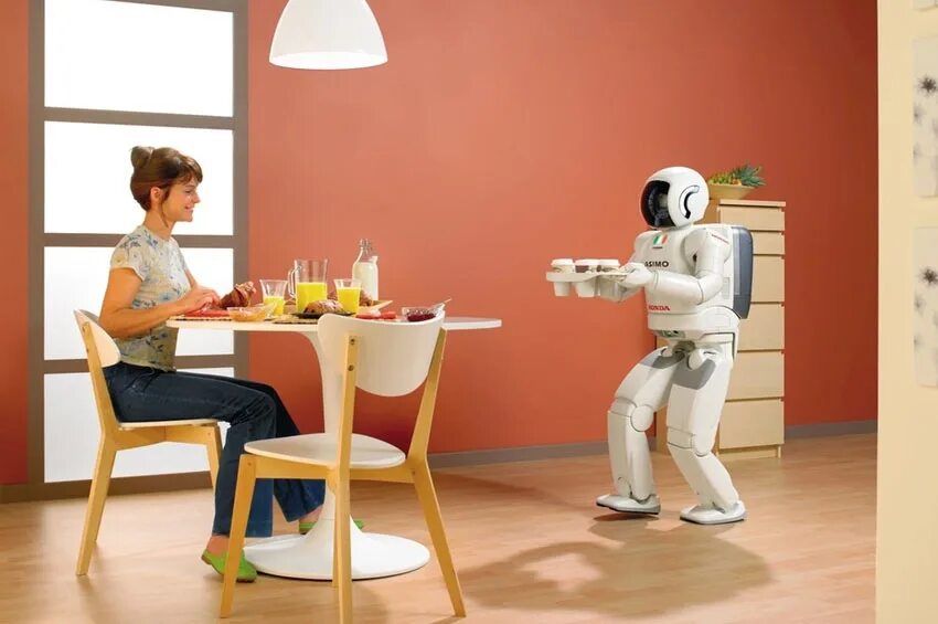 Бытовые роботы. Робот помощник по дому. Роботы помощники в быту. Домашние роботы помощники. Домашнее хозяйство будущего