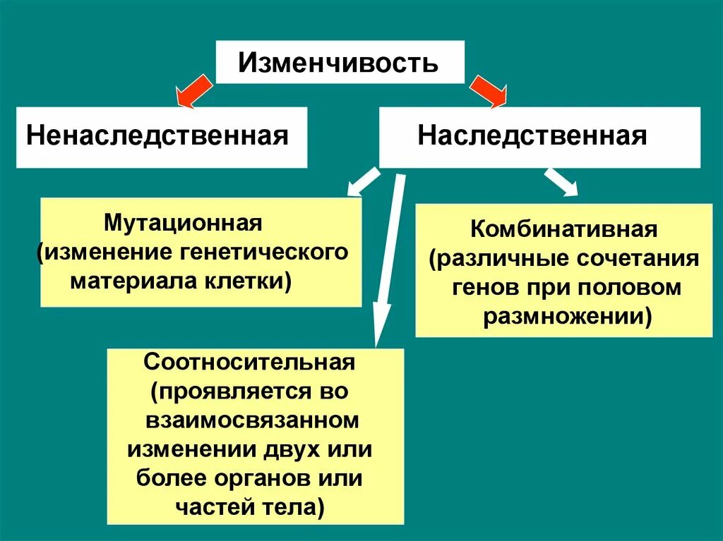 Наследственное и ненаследственное изменение