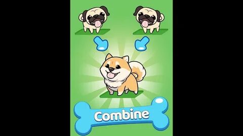 Dogs apk
