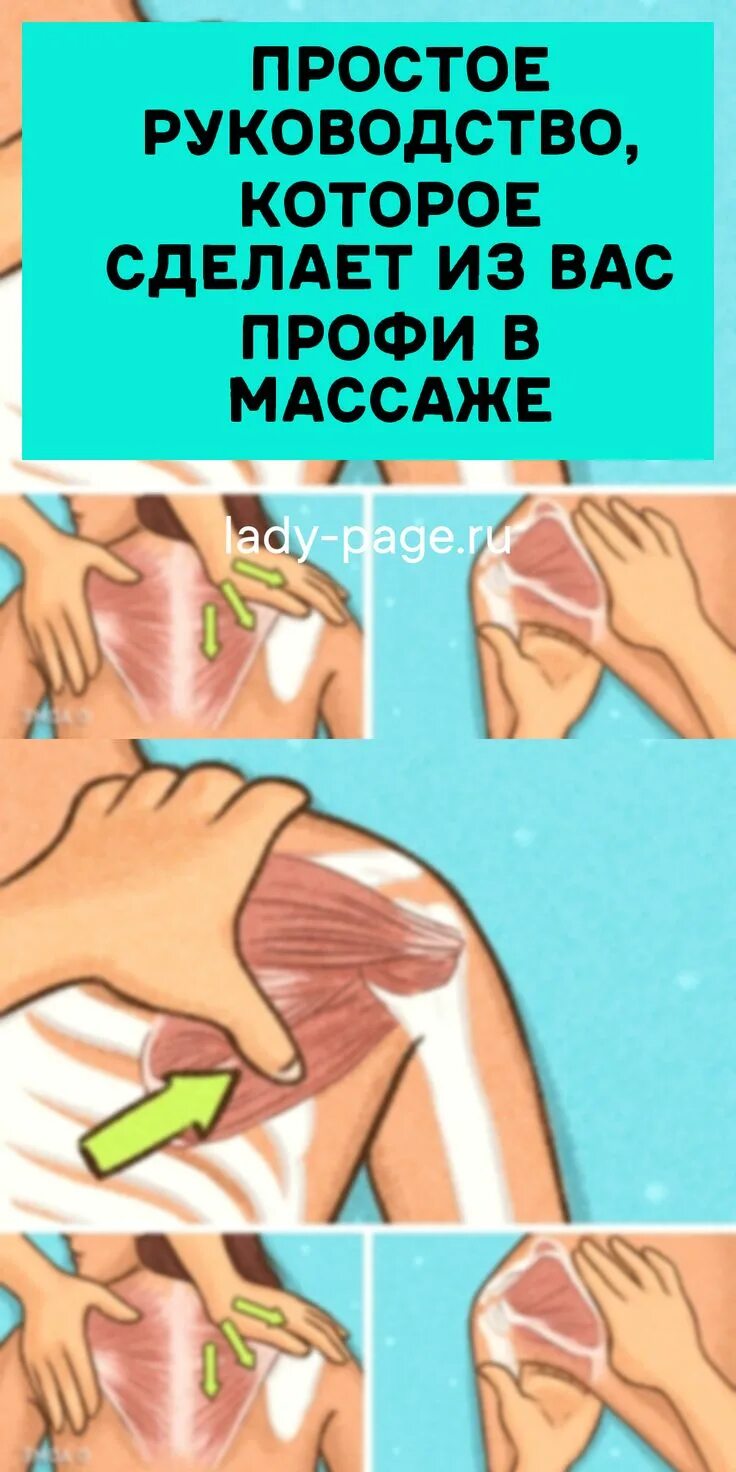 Массаж техники выполнения ручного. Движения для массажа спины. Массаж для начинающих. Массаж спины техника для начинающих. Массажные движения для спины для начинающих.