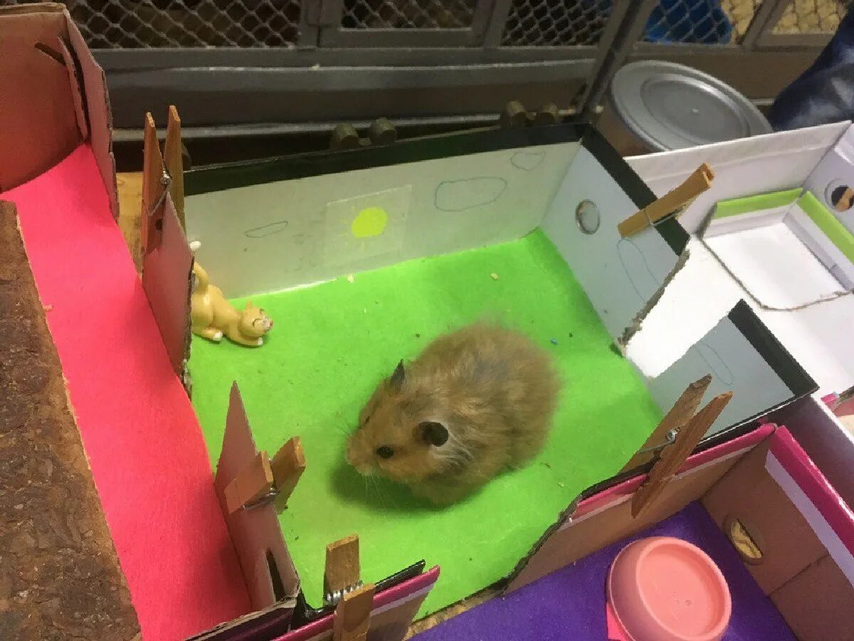 юный зоолог. эколого-биологический центр. программа юный зоолог. юный зоолог. юный зоолог.