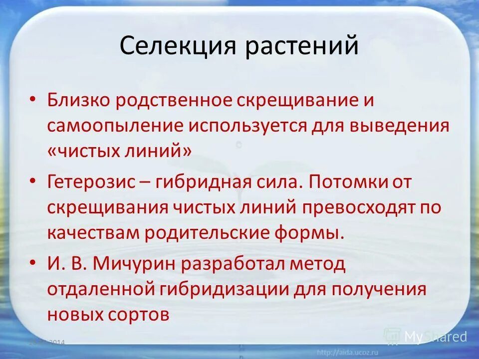 Родительские формы чистые линии