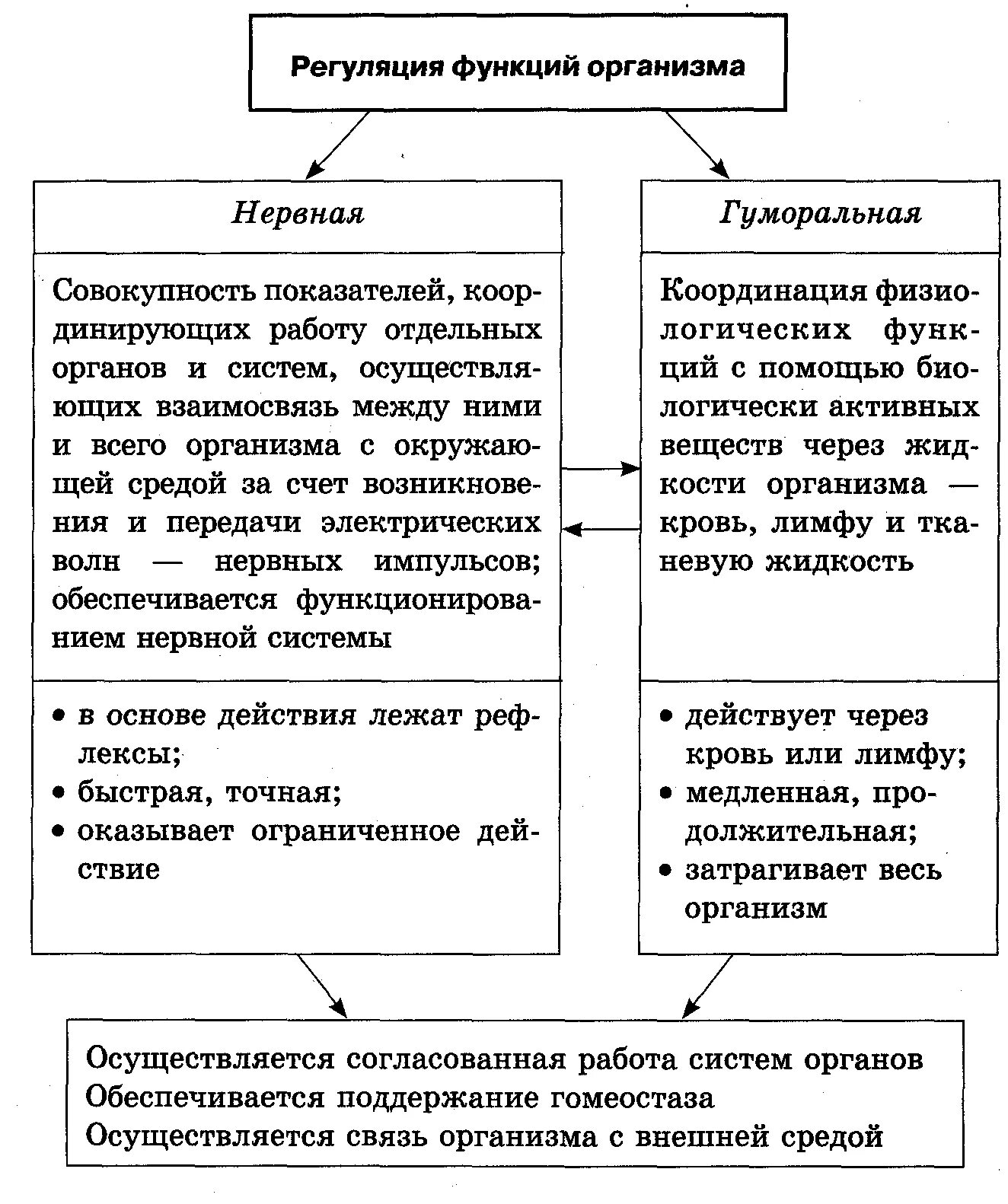 Регуляция функций организма схема. Нервная и гуморальная регуляция функций организма таблица. Нервно-гуморальная регуляция функций организма.. Схема регуляции процессов жизнедеятельности человека. Как осуществляется нейрогуморальная регуляция организма