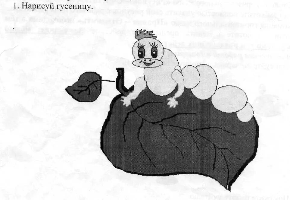 Заходер гусеница. Заходер история гусеницы.