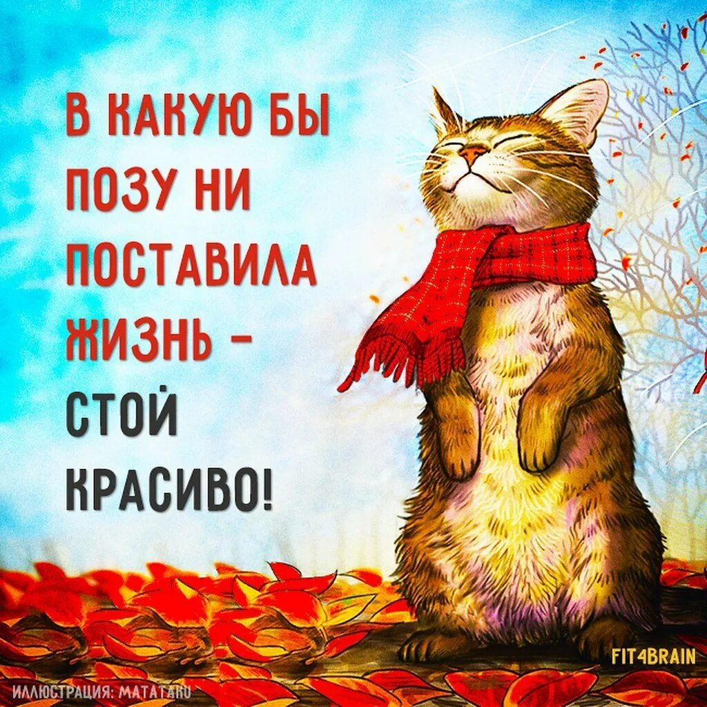 Цитата дня прикольная