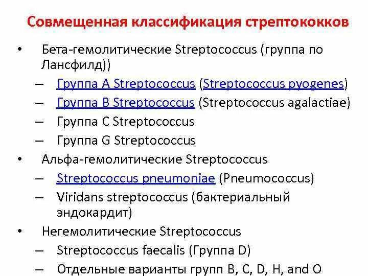 Гемолитический стрептококк классификация. Классификация стрептоокаах. Классификация стрептококков. Бета гемолитический стрептококк.