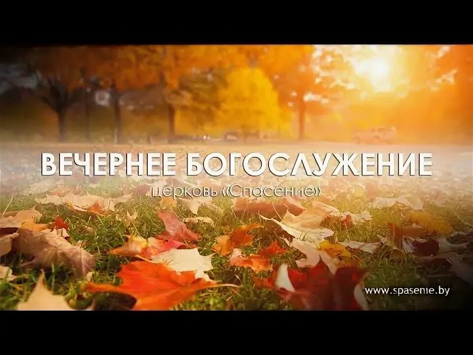Спасение барановичи прямая трансляция. Спасение барановичи прямая трансляция