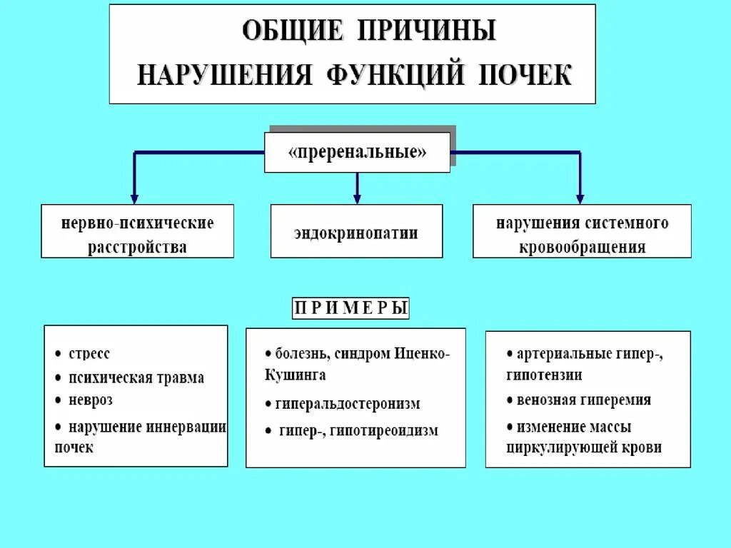 Каковы основные нарушения работы почек. Основные нарушения функции почек в патологии патофизиология. Нарушения функции почек (общая схема).. Общие причины и механизмы нарушения функции почек.. Этиология расстройств функций почек.