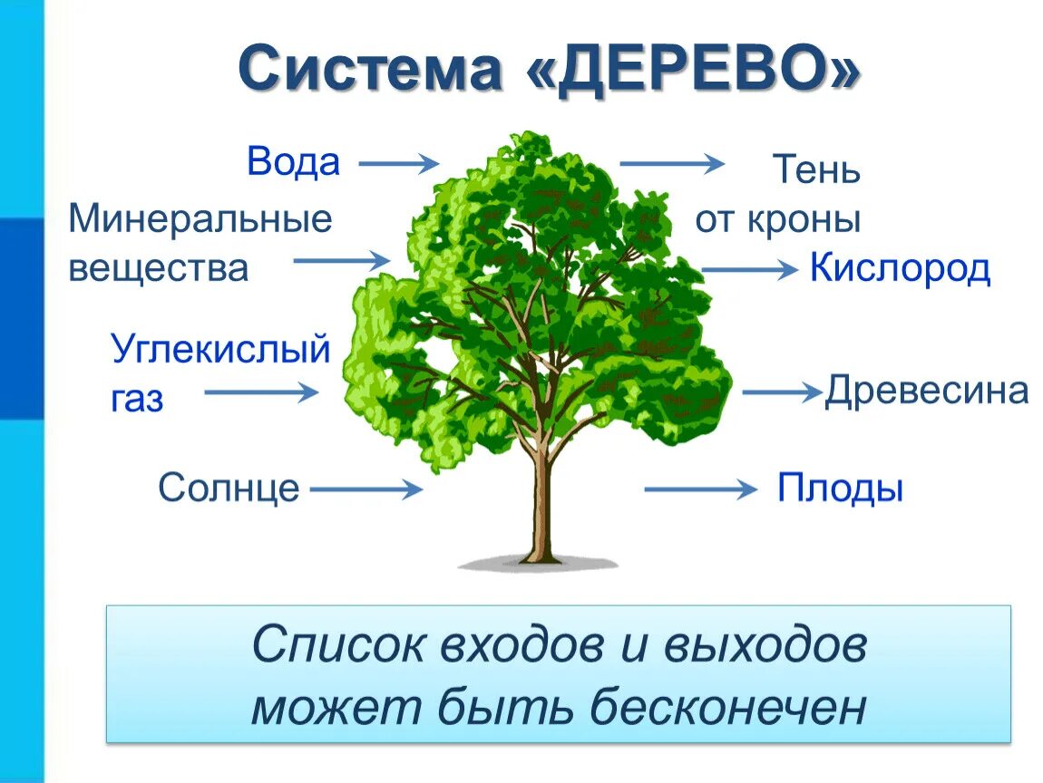 Дерево 5 класс информатика. Система дерева. Система дерева Информатика. Системы объектов примеры. Система.