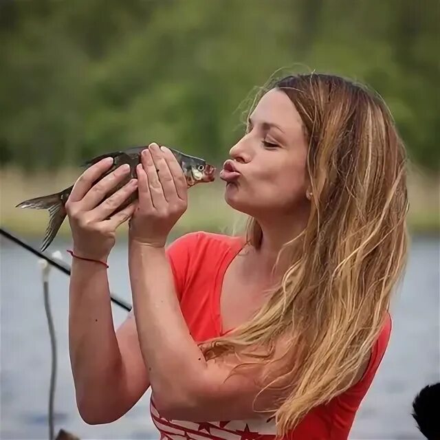 Света корс. Света корс