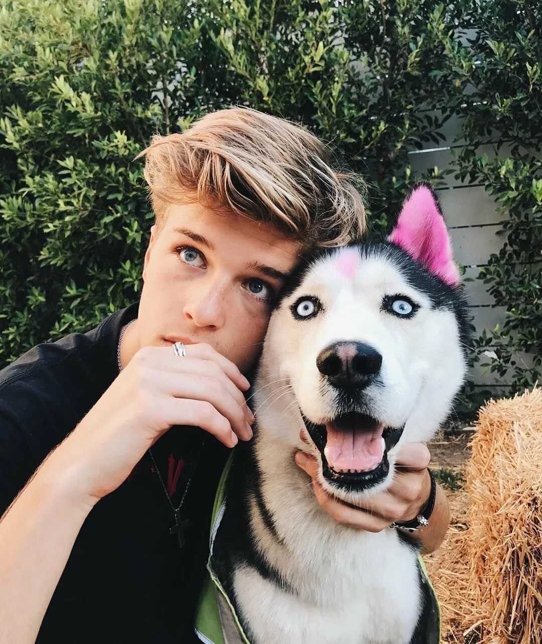 Красивый парень с собакой. Парень в сопках. Мужчина с лабрадором. Мужчина с собакой. Парня есть собака.