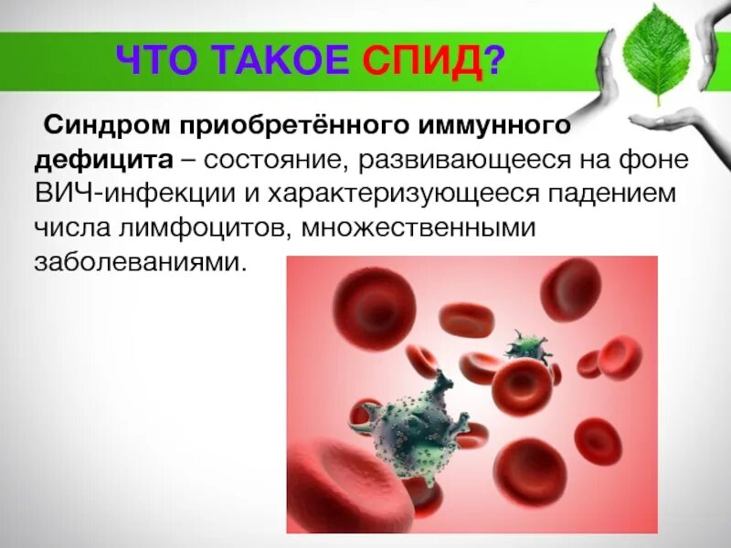 Вызывает ли вич синдром приобретенного иммунного дефицита. Синдром приобретённого иммунного дефицита. вич. спид.