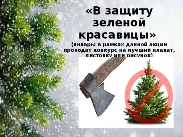 В рамках данной акции