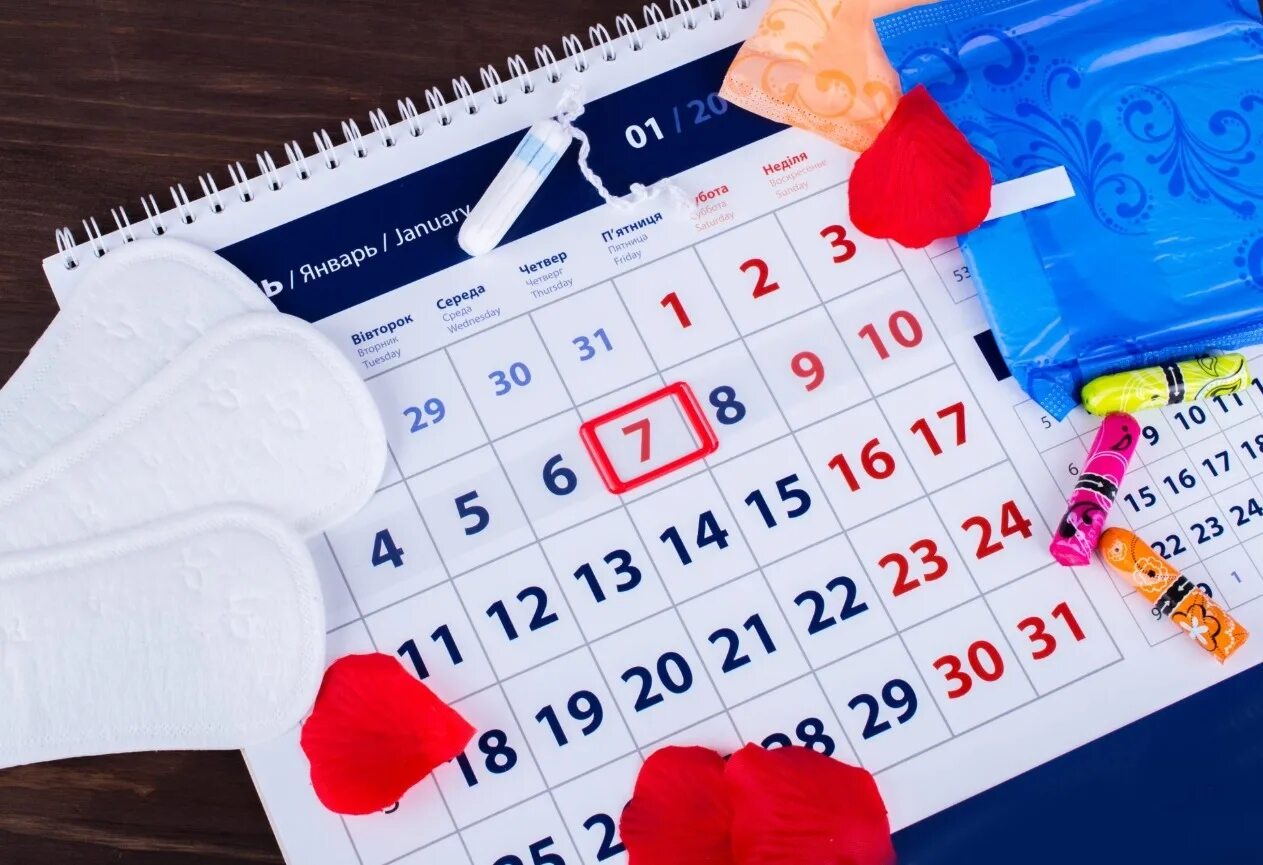 Месячные календарь. Календарь менструации. Гигиена менструационного цикла памятка. Женщина с менструальным календарем. Календарь месячных фото.