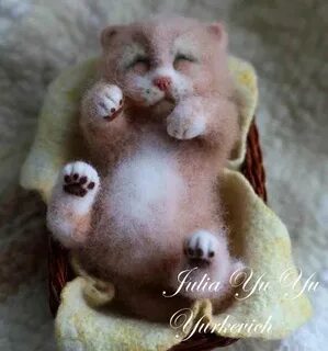 Кошачьи мастер классы